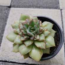 정…