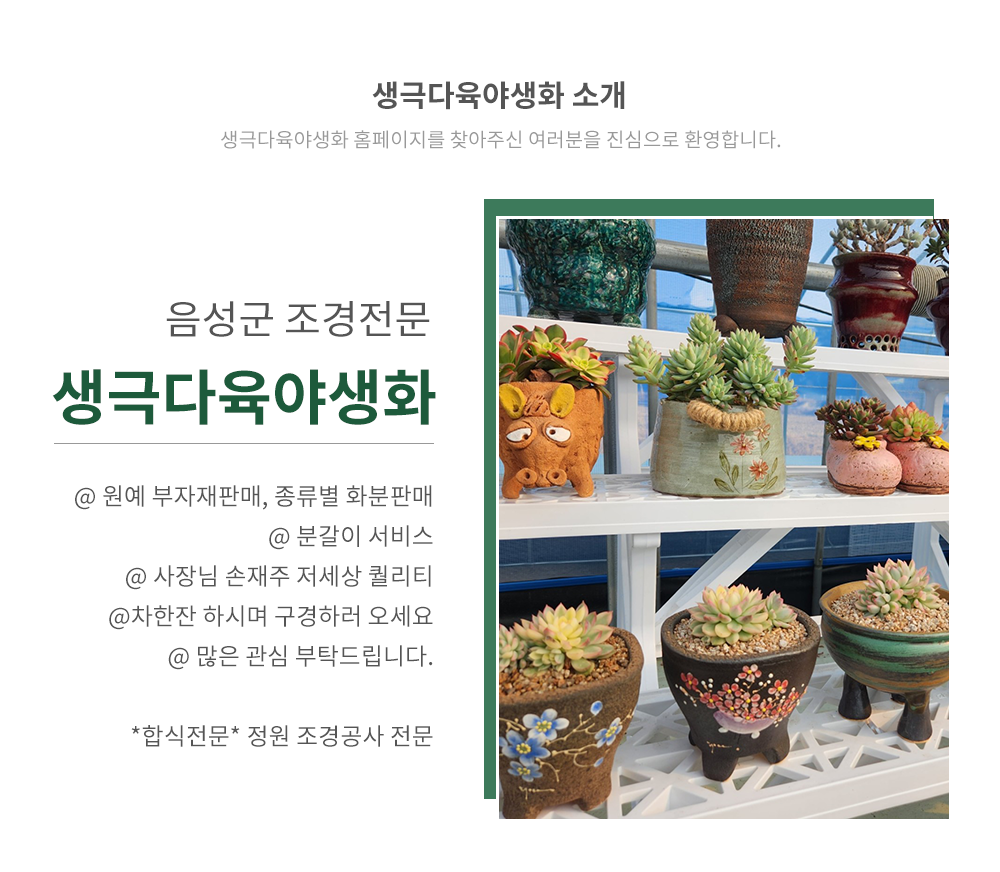 생극다육야생화 소개